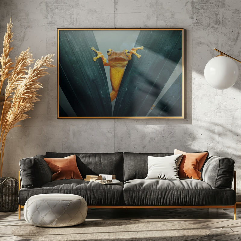 Gold Frog - Stretched Canvas, Poster or Fine Art Print I Heart Wall Art