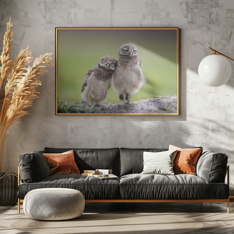 Friends - Stretched Canvas, Poster or Fine Art Print I Heart Wall Art