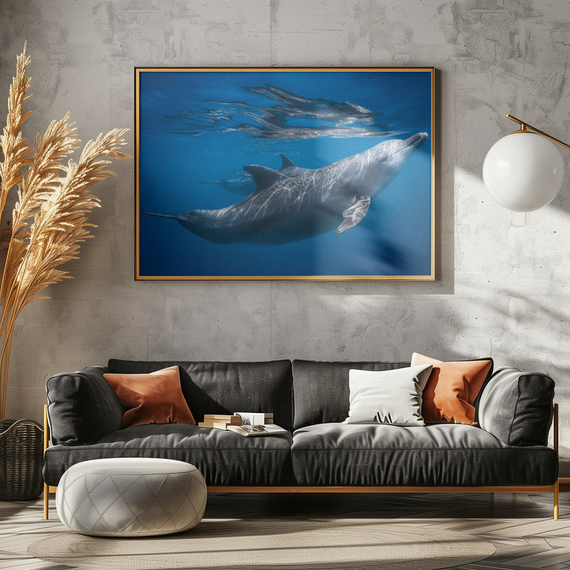 Dolphin at the surface - Stretched Canvas, Poster or Fine Art Print I Heart Wall Art