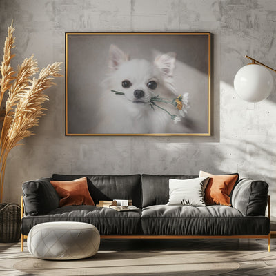 Chihuahua with flowers - Stretched Canvas, Poster or Fine Art Print I Heart Wall Art