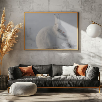 wild arctic hare - Stretched Canvas, Poster or Fine Art Print I Heart Wall Art