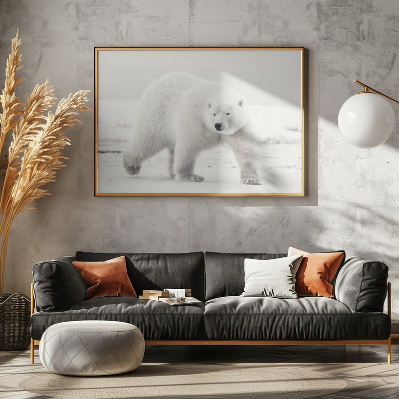 Alaskan king - Stretched Canvas, Poster or Fine Art Print I Heart Wall Art