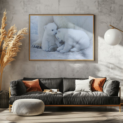 Polar bear cub - Stretched Canvas, Poster or Fine Art Print I Heart Wall Art