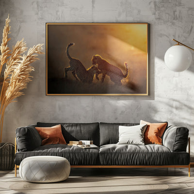 Playing at sunrise - Stretched Canvas, Poster or Fine Art Print I Heart Wall Art