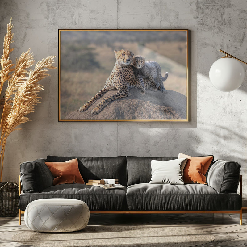 Cheetah and cup! - Stretched Canvas, Poster or Fine Art Print I Heart Wall Art