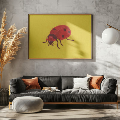 Ladybird - Stretched Canvas, Poster or Fine Art Print I Heart Wall Art