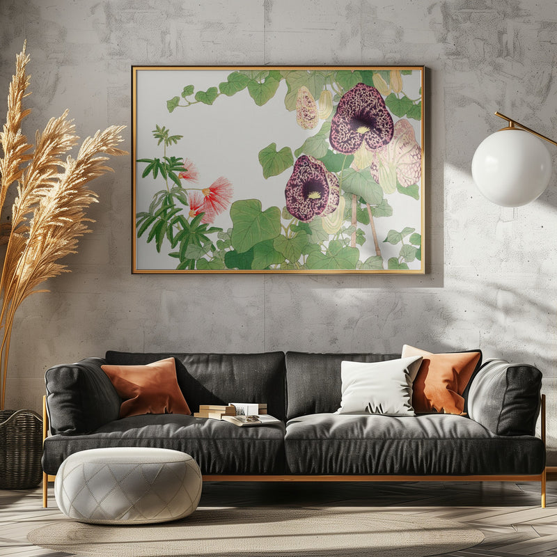 Albizia & Aristolochia Flower No.2 - Stretched Canvas, Poster or Fine Art Print I Heart Wall Art