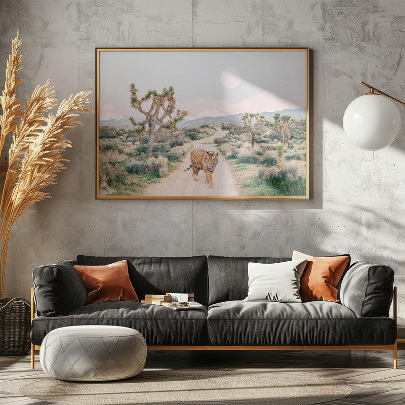 Wandering Tiger - Stretched Canvas, Poster or Fine Art Print I Heart Wall Art