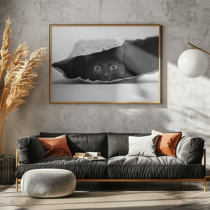 Cat in a bag - Stretched Canvas, Poster or Fine Art Print I Heart Wall Art