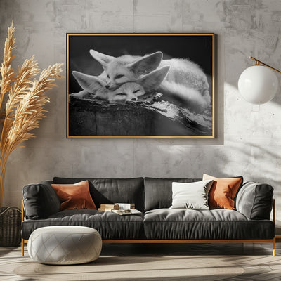 The happy couple - Stretched Canvas, Poster or Fine Art Print I Heart Wall Art