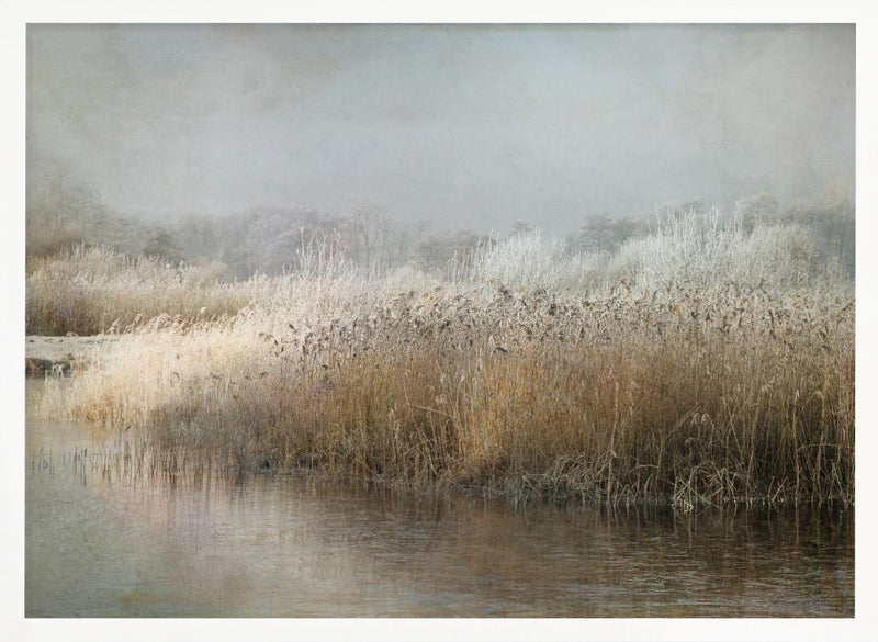 Wintermorning - Stretched Canvas, Poster or Fine Art Print I Heart Wall Art