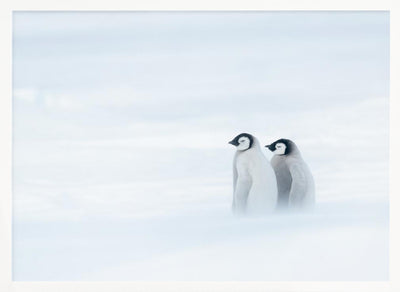 SISTER BOND UNDER THE WORST WEATHER II - Stretched Canvas, Poster or Fine Art Print I Heart Wall Art