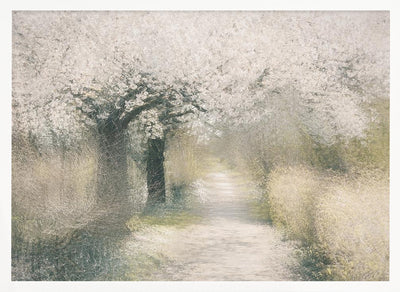 Cherry blossom - Stretched Canvas, Poster or Fine Art Print I Heart Wall Art