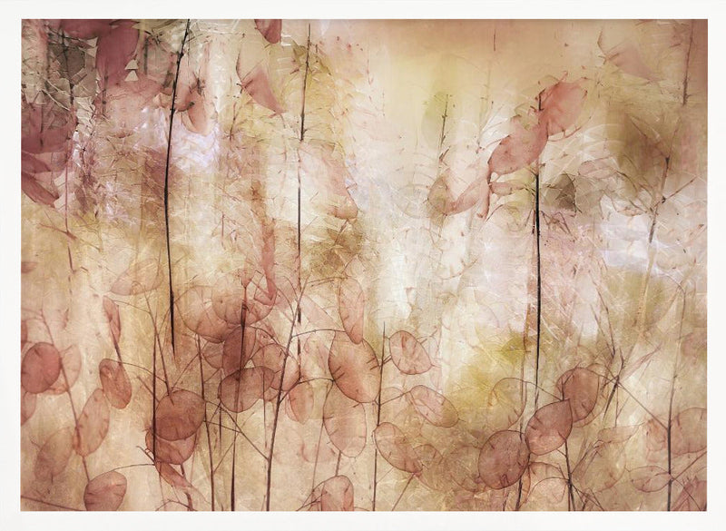Seed pods - Stretched Canvas, Poster or Fine Art Print I Heart Wall Art