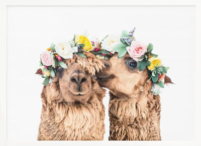 Boho Alpacas - Stretched Canvas, Poster or Fine Art Print I Heart Wall Art