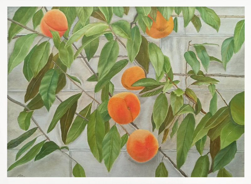 Peaches - Stretched Canvas, Poster or Fine Art Print I Heart Wall Art