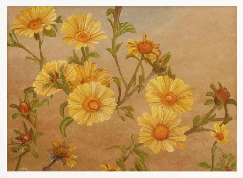 Yellow Daisies - Stretched Canvas, Poster or Fine Art Print I Heart Wall Art