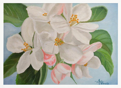 Apple Blossom - Stretched Canvas, Poster or Fine Art Print I Heart Wall Art