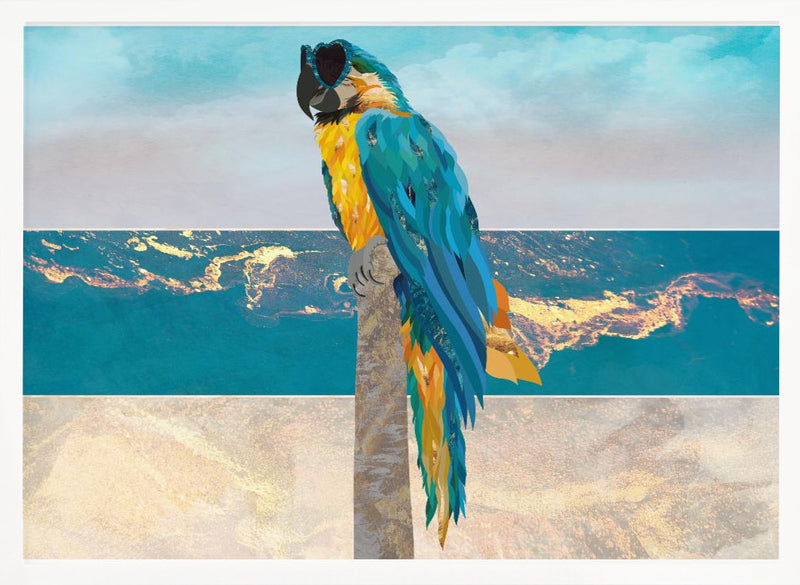 Macaw Seaside Landscape - Stretched Canvas, Poster or Fine Art Print I Heart Wall Art