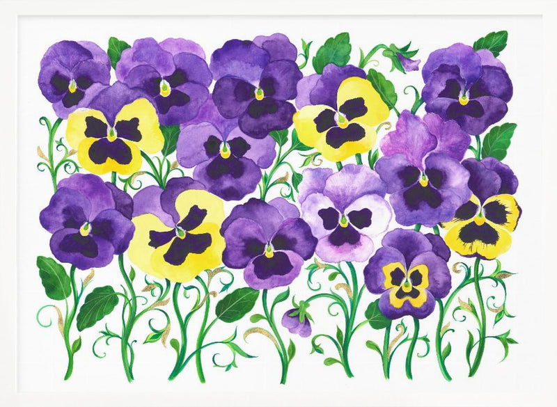 Pansy Field - Stretched Canvas, Poster or Fine Art Print I Heart Wall Art