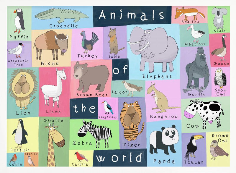 Animals of the World Illustration by Artist Carla Daly - Stretched Canvas, Poster or Fine Art Print I Heart Wall Art