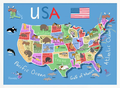 Illustrated Map of United States of America by Carla Daly - Stretched Canvas, Poster or Fine Art Print I Heart Wall Art