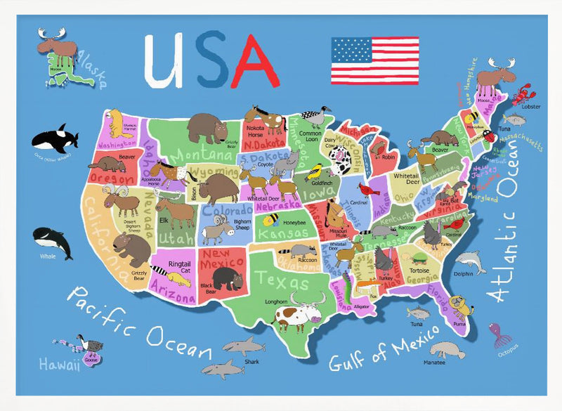 Illustrated Map of United States of America by Carla Daly - Stretched Canvas, Poster or Fine Art Print I Heart Wall Art