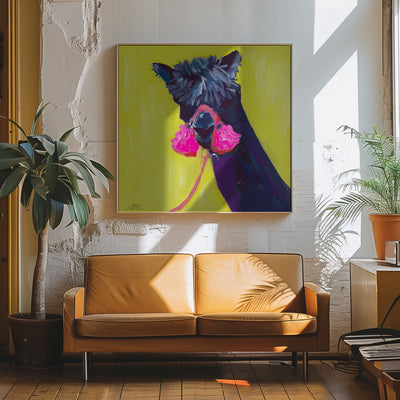 Black Alpaca - Square Stretched Canvas, Poster or Fine Art Print I Heart Wall Art