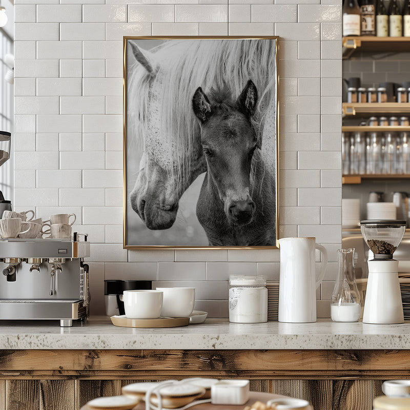 The Foal - Stretched Canvas, Poster or Fine Art Print I Heart Wall Art