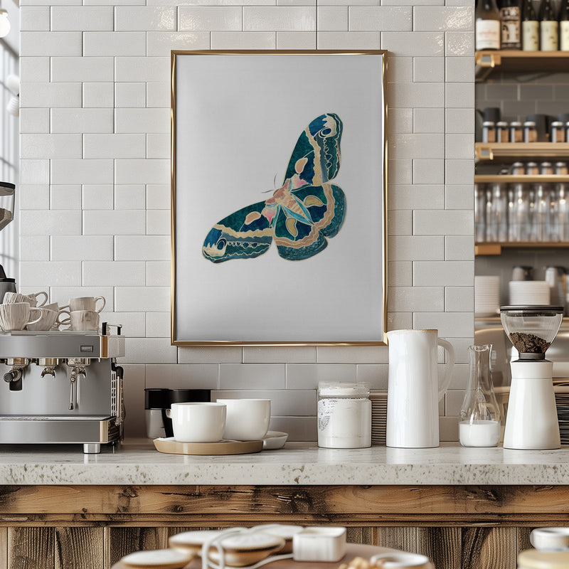 Green White Moth Butterfly - Stretched Canvas, Poster or Fine Art Print I Heart Wall Art