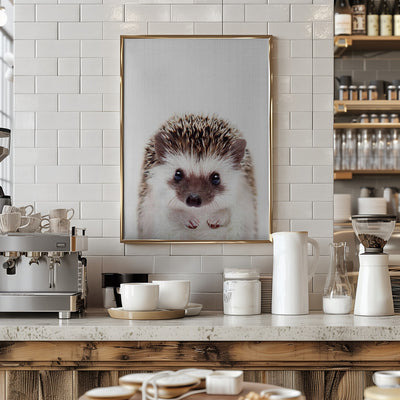 Peekaboo Hedgehog - Stretched Canvas, Poster or Fine Art Print I Heart Wall Art