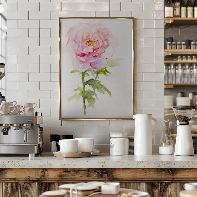 Peony November - Stretched Canvas, Poster or Fine Art Print I Heart Wall Art