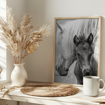 The Foal - Stretched Canvas, Poster or Fine Art Print I Heart Wall Art