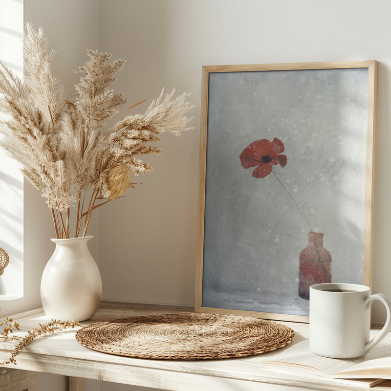 Winter Poppy - Stretched Canvas, Poster or Fine Art Print I Heart Wall Art