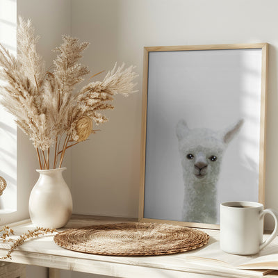 Llama - Stretched Canvas, Poster or Fine Art Print I Heart Wall Art