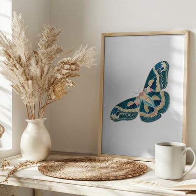 Green White Moth Butterfly - Stretched Canvas, Poster or Fine Art Print I Heart Wall Art