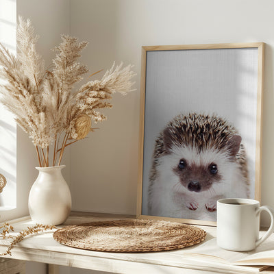 Peekaboo Hedgehog - Stretched Canvas, Poster or Fine Art Print I Heart Wall Art