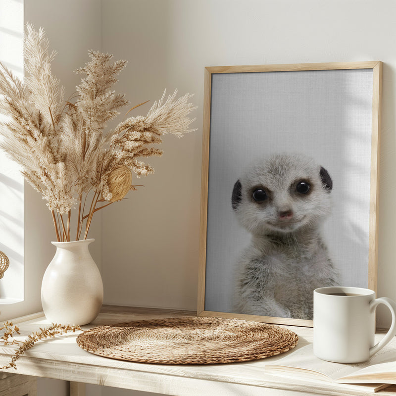 Peekaboo Baby Meerkat - Stretched Canvas, Poster or Fine Art Print I Heart Wall Art