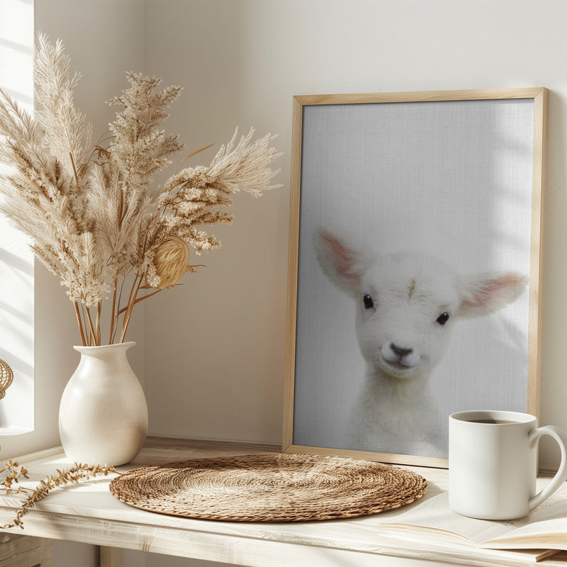 Peekaboo Baby Sheep - Stretched Canvas, Poster or Fine Art Print I Heart Wall Art