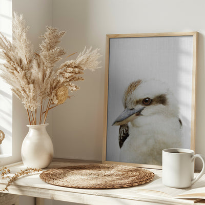 Peekaboo Kookaburra - Stretched Canvas, Poster or Fine Art Print I Heart Wall Art