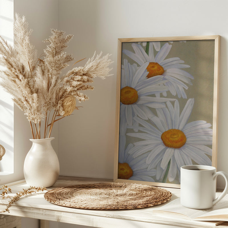 White Daisies - Stretched Canvas, Poster or Fine Art Print I Heart Wall Art