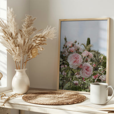 Garden Roses - Stretched Canvas, Poster or Fine Art Print I Heart Wall Art