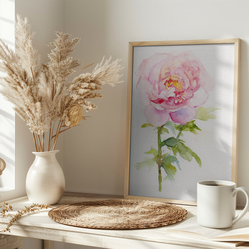 Peony November - Stretched Canvas, Poster or Fine Art Print I Heart Wall Art