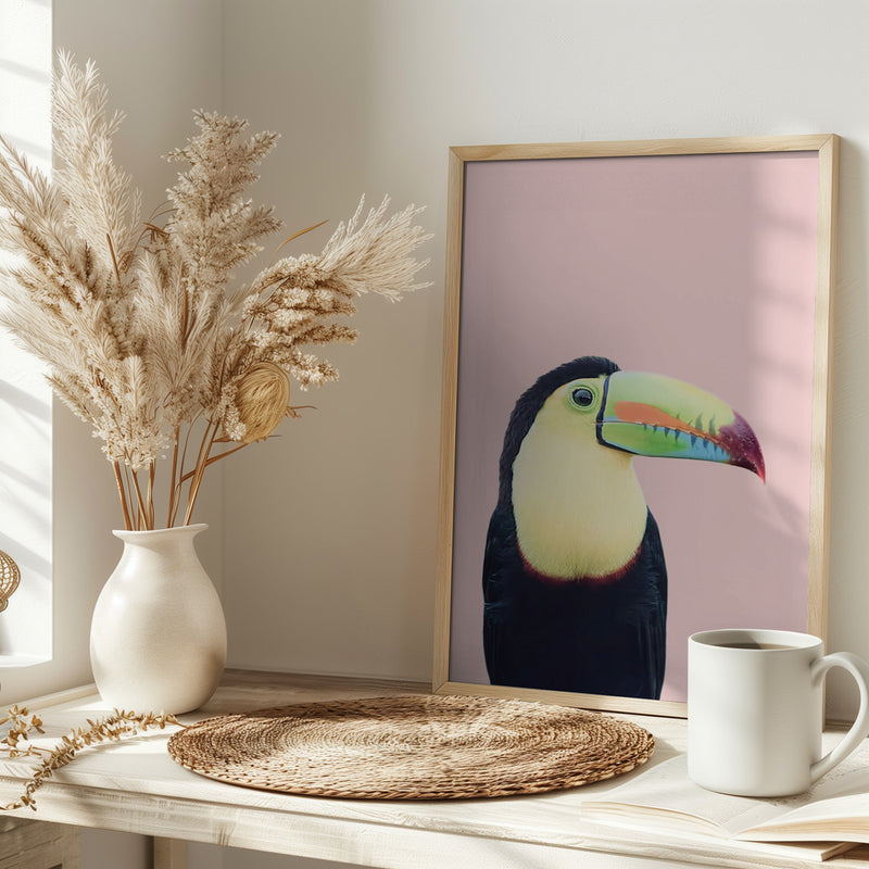 Toucan on Pink - Stretched Canvas, Poster or Fine Art Print I Heart Wall Art