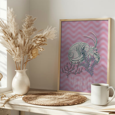 Sea life hermit crab Neptune&#039;s joy - Stretched Canvas, Poster or Fine Art Print I Heart Wall Art