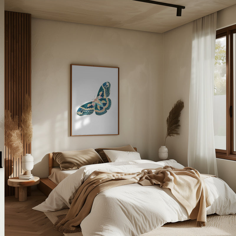 Green White Moth Butterfly - Stretched Canvas, Poster or Fine Art Print I Heart Wall Art