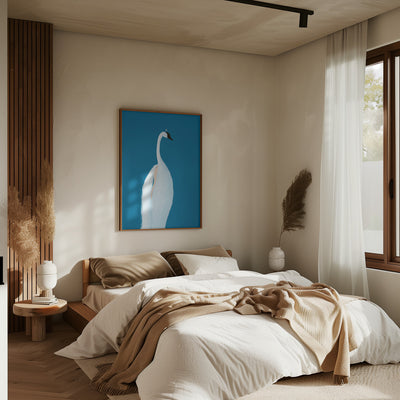 Swan Maybe - Stretched Canvas, Poster or Fine Art Print I Heart Wall Art