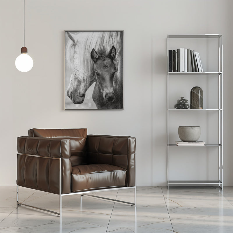 The Foal - Stretched Canvas, Poster or Fine Art Print I Heart Wall Art