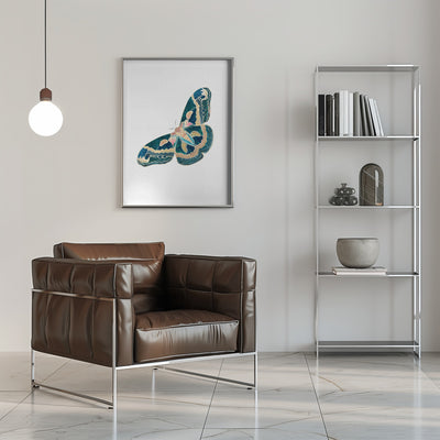 Green White Moth Butterfly - Stretched Canvas, Poster or Fine Art Print I Heart Wall Art