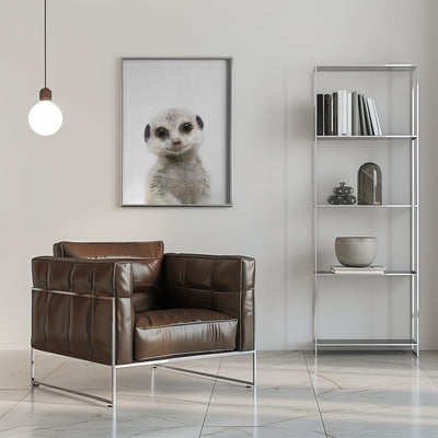 Peekaboo Baby Meerkat - Stretched Canvas, Poster or Fine Art Print I Heart Wall Art